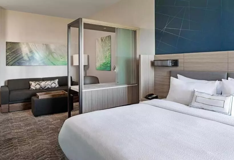 ホテル Springhill Suites By Marriott West Sacramento