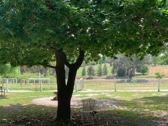 酒店 Sunnyhurst Chalets Rural Stay