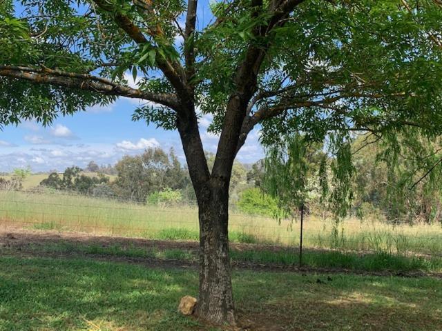 酒店 Sunnyhurst Chalets Rural Stay