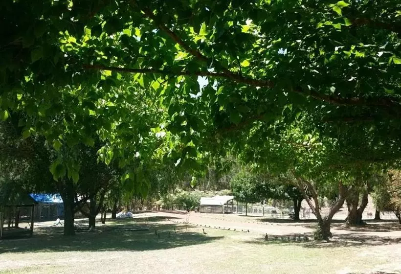 ホテル Sunnyhurst Chalets Rural Stay
