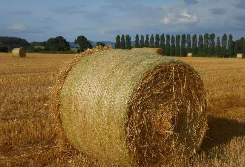 ベッドアンドブレックファースト Le Relais Du Grand Logis