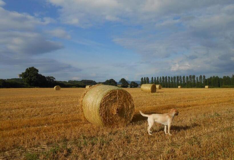 Bed and Breakfast Le Relais Du Grand Logis