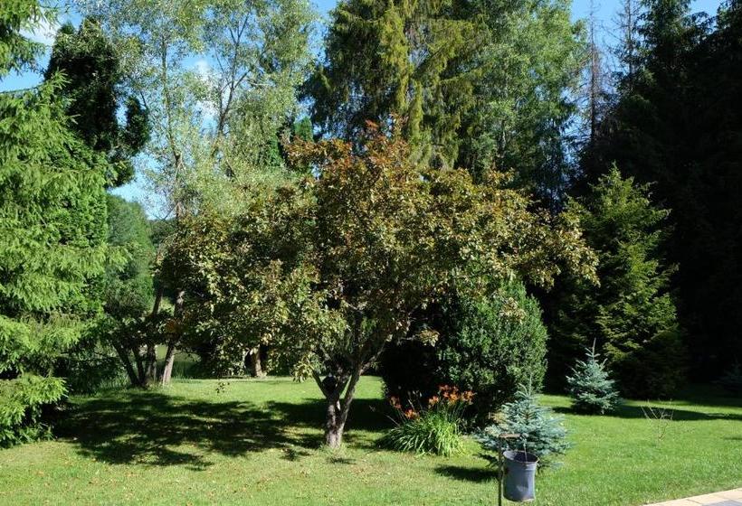 민박 Sebesvi­z Panzió