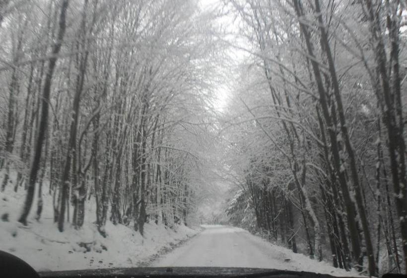 민박 Sebesvi­z Panzió