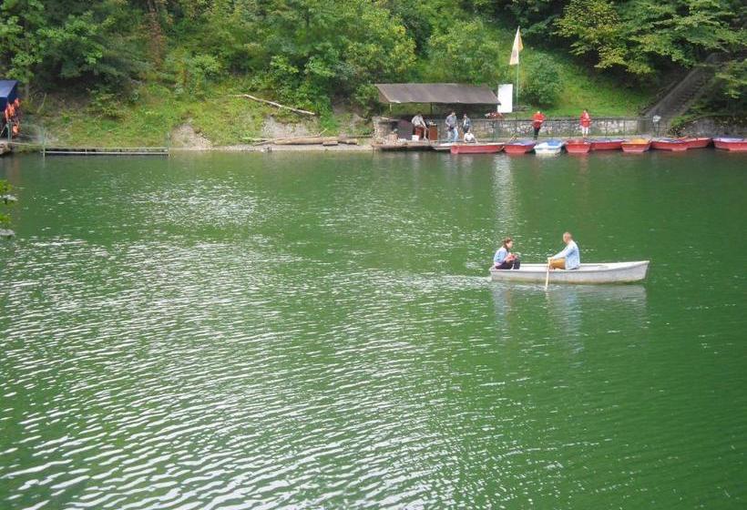 민박 Sebesvi­z Panzió