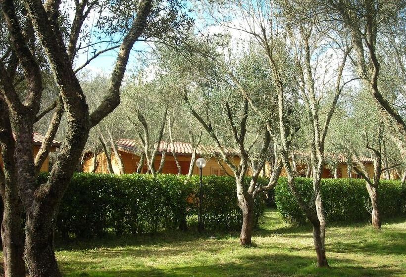 בית מלון כפרי Agriturismo Lu Podere