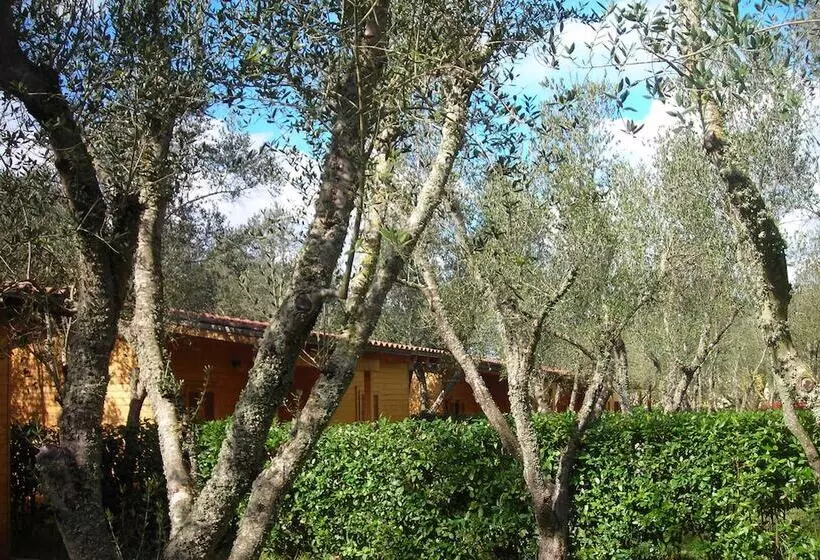 Hotelli Agriturismo Lu Podere