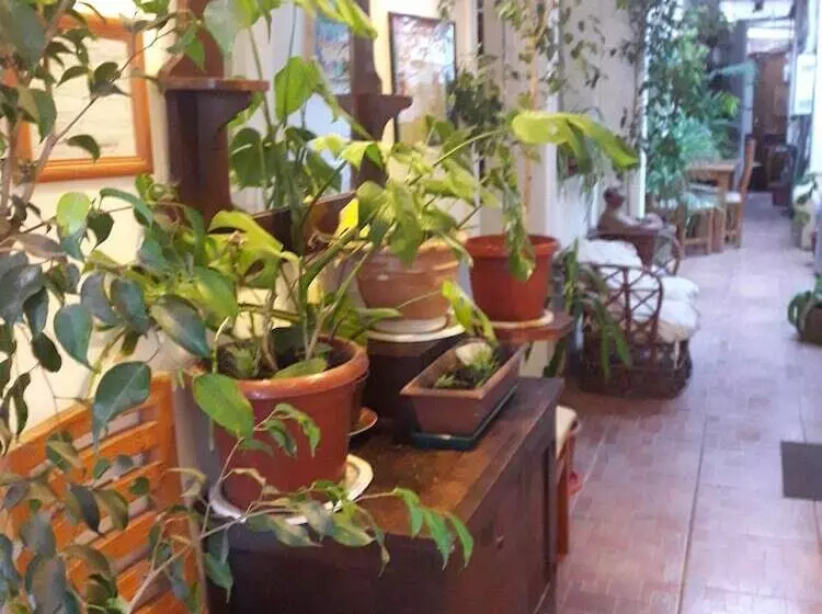 Majatalo Hostal La Mestiza   Hostel