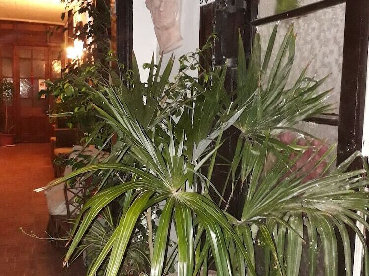 پانسیون Hostal La Mestiza   Hostel