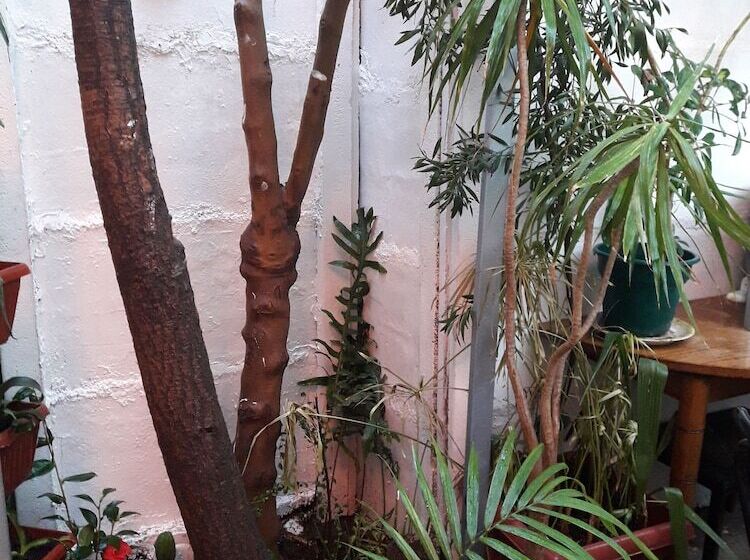 پانسیون Hostal La Mestiza   Hostel