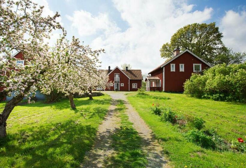 بنسيون Lilla Sörgården
