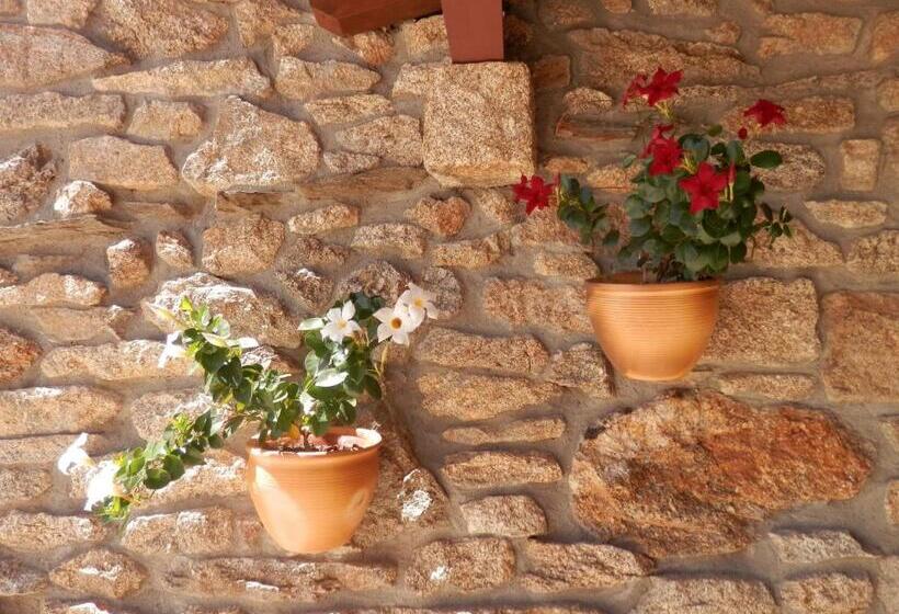 פנסיון Puial De L Douro