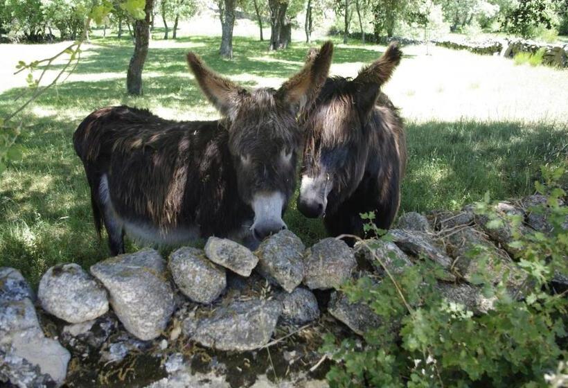 פנסיון Puial De L Douro
