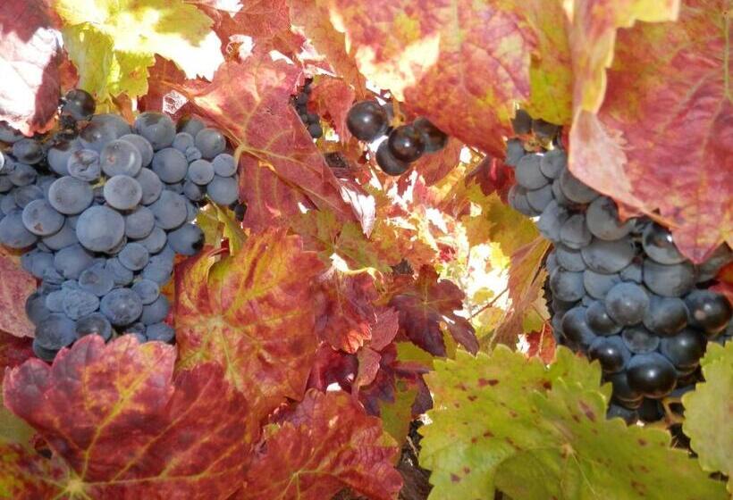 פנסיון Puial De L Douro