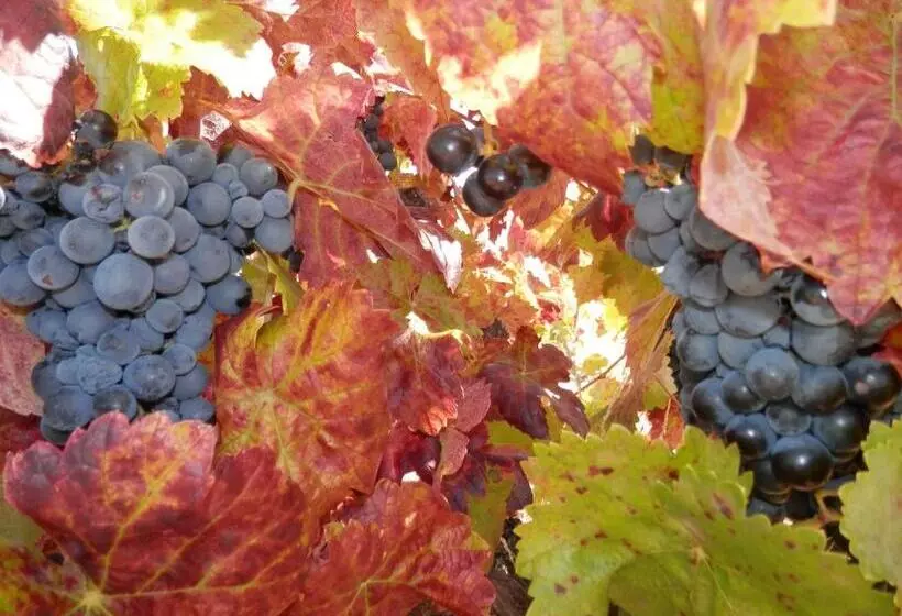 Pensão Puial De L Douro