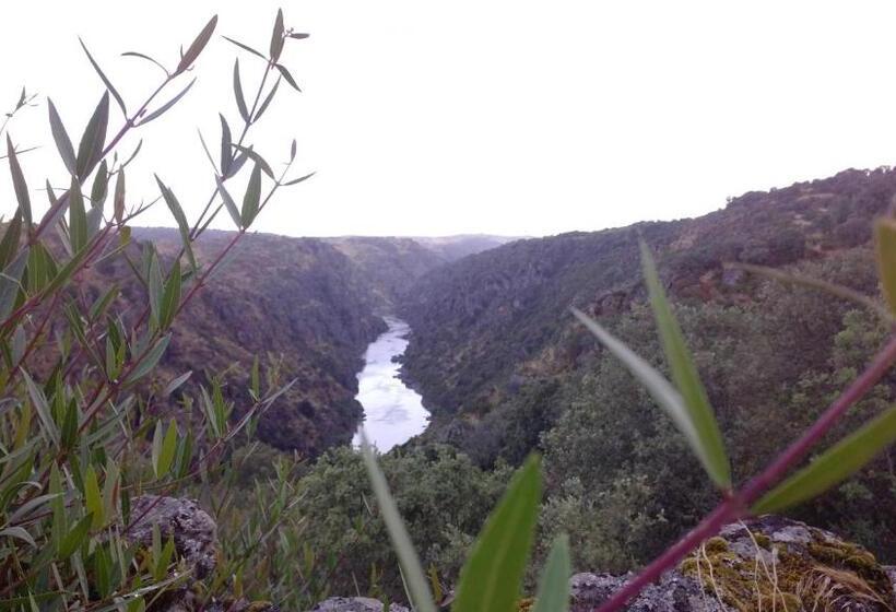 פנסיון Puial De L Douro