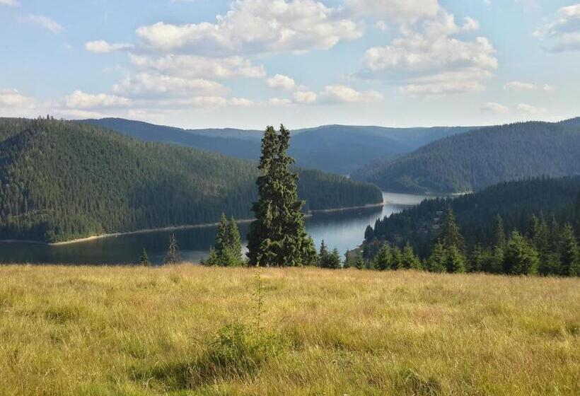 Pensiunea Denisa & Madalina