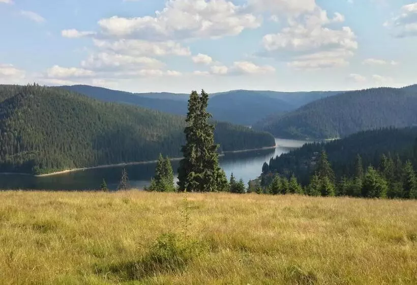 Pensiunea Denisa & Madalina