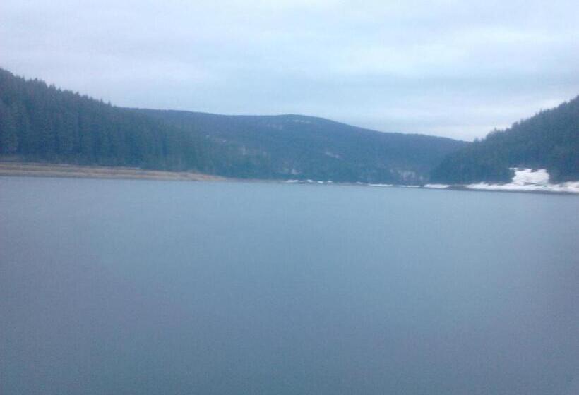 Pensiunea Denisa & Madalina