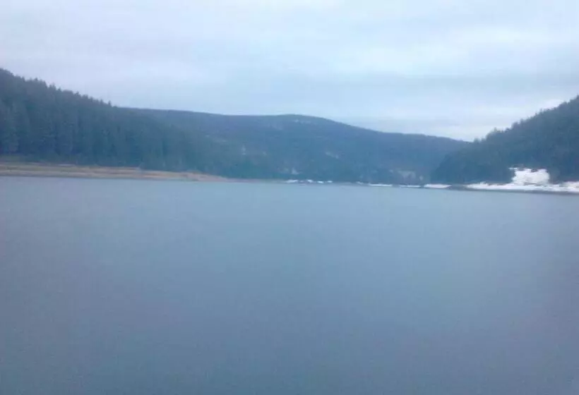 Pensiunea Denisa & Madalina