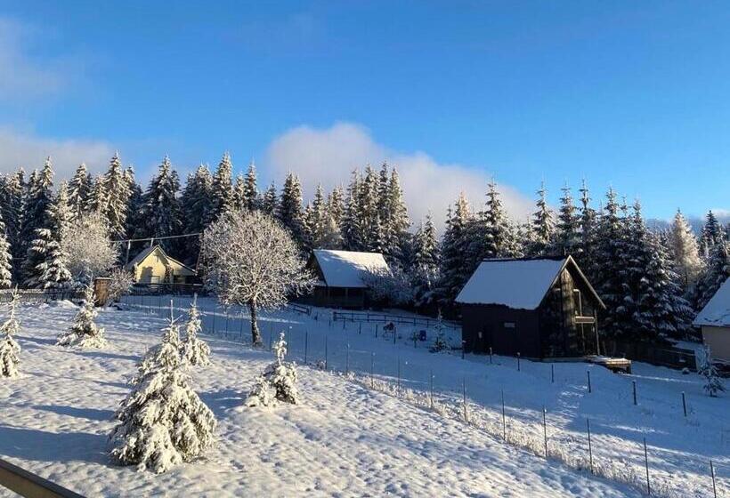 Pensiunea Denisa & Madalina