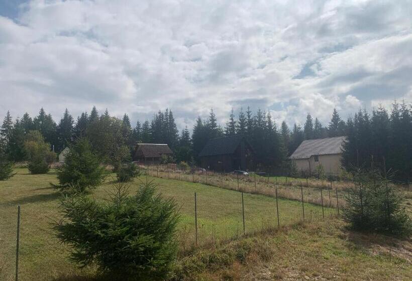 Pensiunea Denisa & Madalina