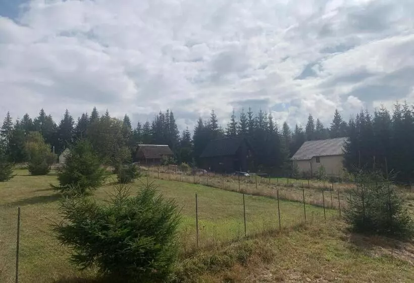 Pensiunea Denisa & Madalina