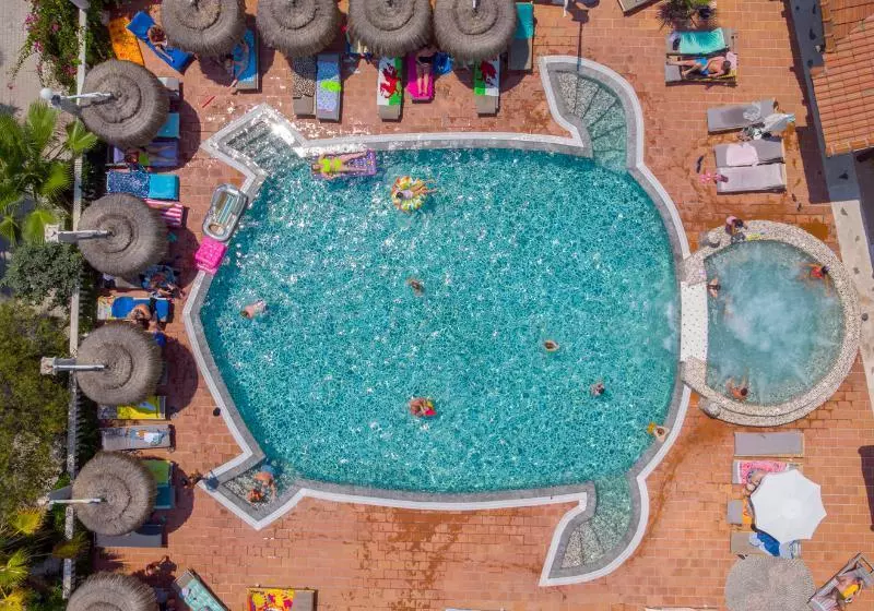 Flamingo Hotel & Spa Pet Friendly