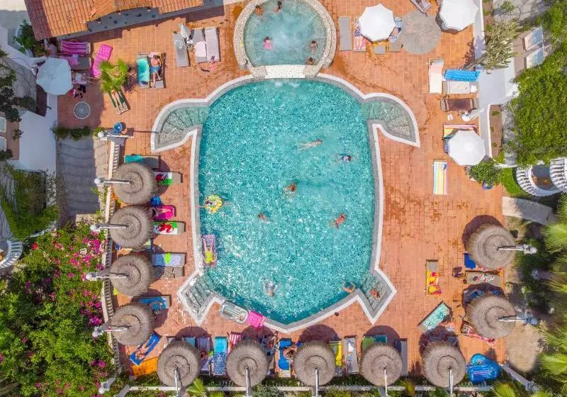 Flamingo Hotel & Spa Pet Friendly