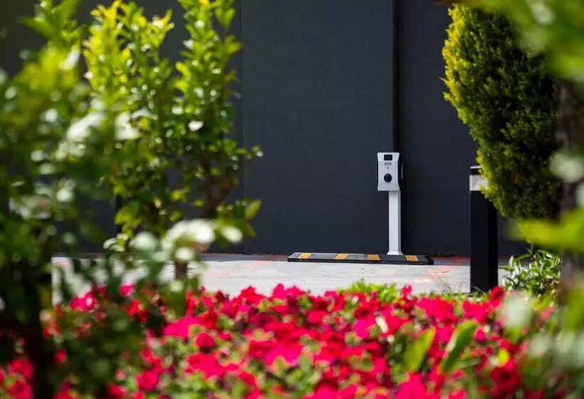 酒店 Sidera Kirman Premium Ultra All Inclusive