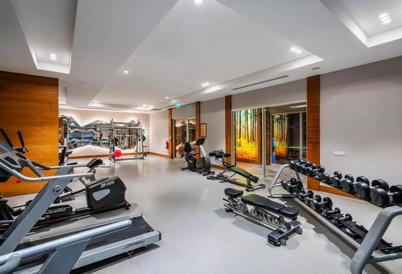 酒店 Sidera Kirman Premium Ultra All Inclusive