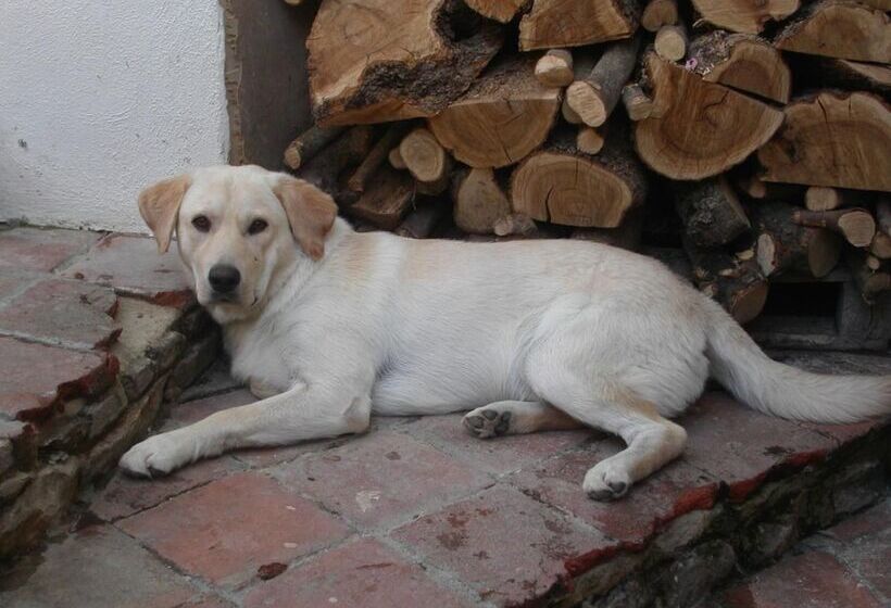 酒店 Locanda La Rosa