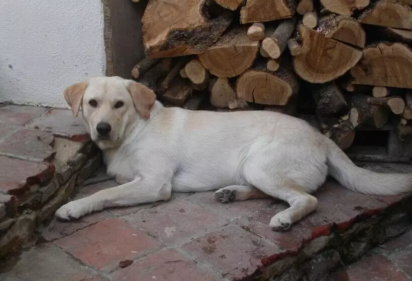 ホテル Locanda La Rosa