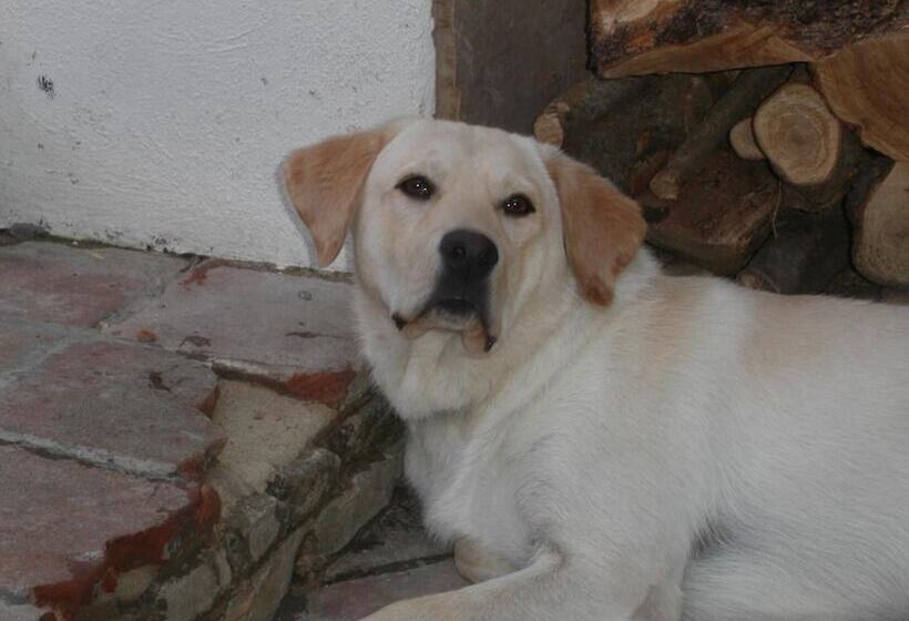 酒店 Locanda La Rosa