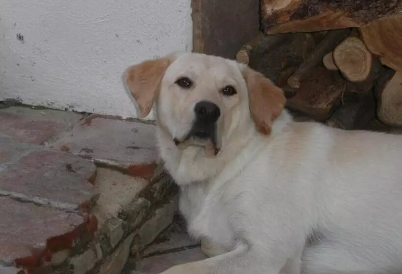 ホテル Locanda La Rosa