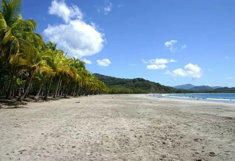 Condo Hotels Samara Heights