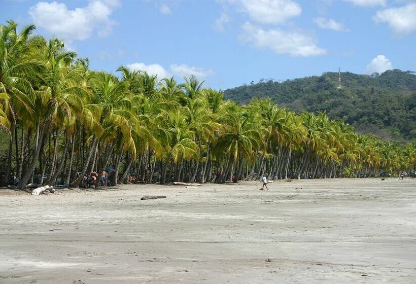 Condo Hotels Samara Heights