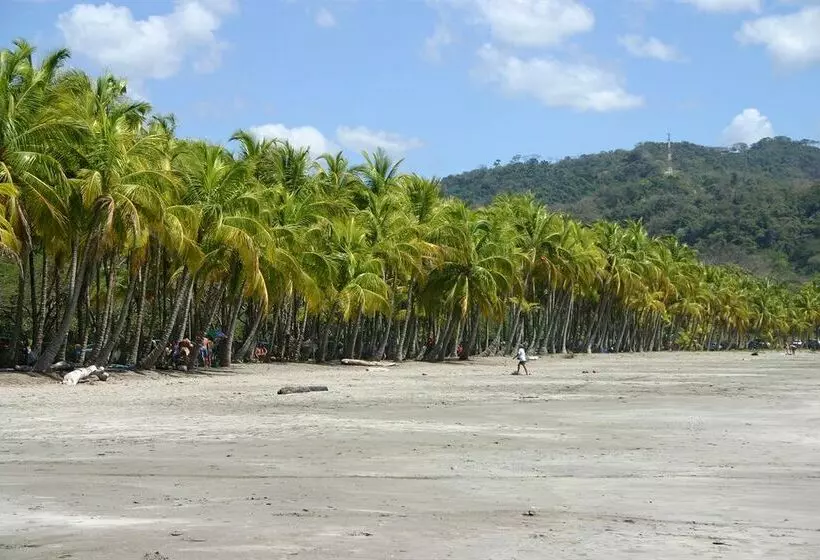 Condo Hotels Samara Heights