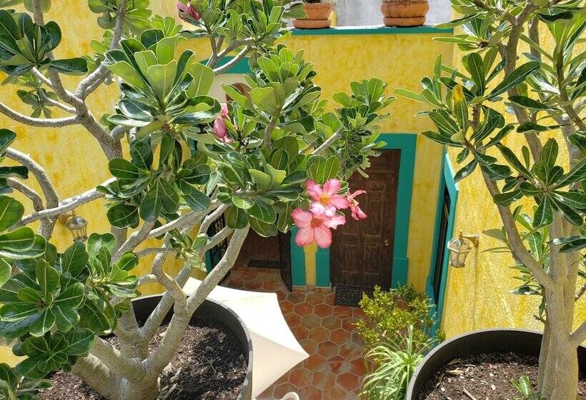 Quinta Don Jose Boutique Hotel