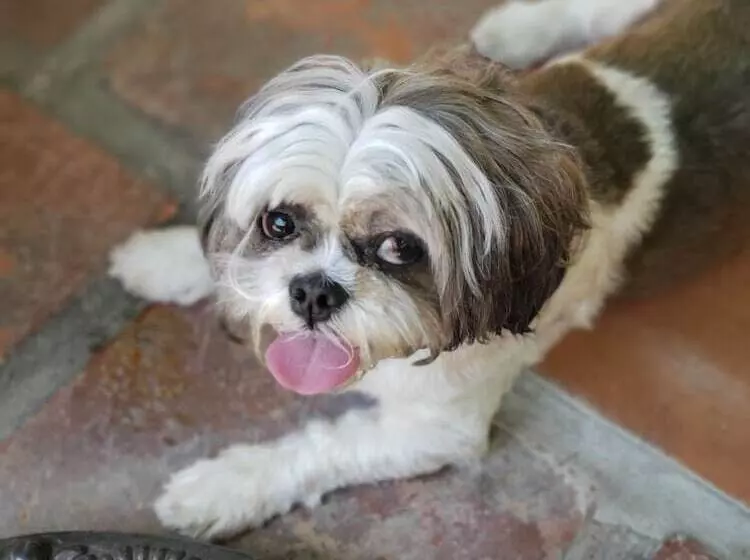 Quinta Don Jose Boutique Hotel