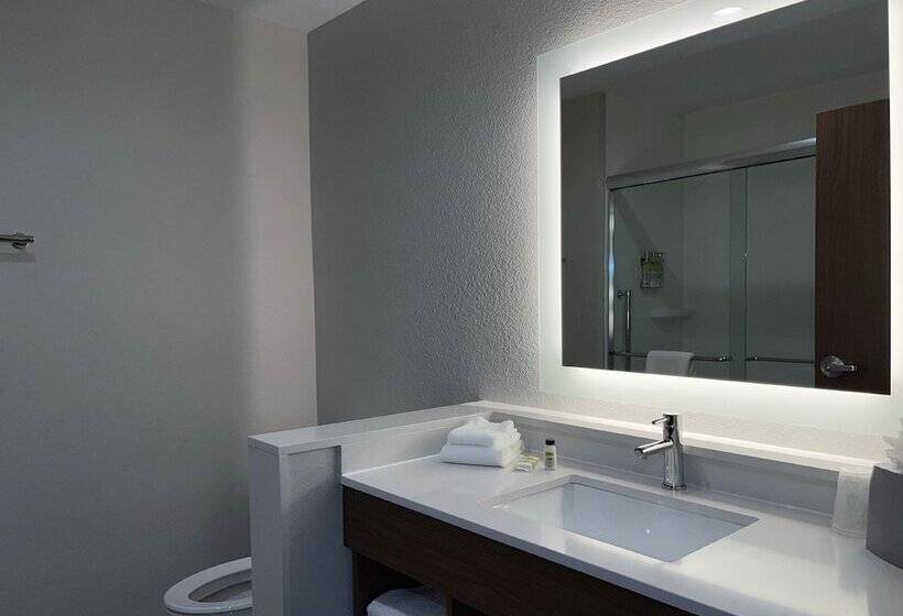 בית מלון כפרי Holiday Inn Express & Suites Dallas Central Market Center By Ihg