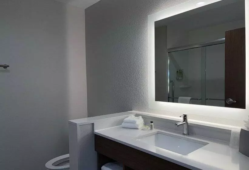 Hotelli Holiday Inn Express & Suites Dallas Central Market Center By Ihg