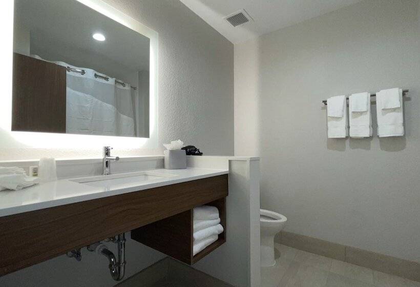 בית מלון כפרי Holiday Inn Express & Suites Dallas Central Market Center By Ihg