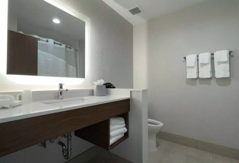 Hotelli Holiday Inn Express & Suites Dallas Central Market Center By Ihg