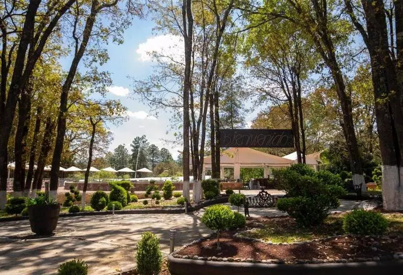 Hotelli & Glamping Huasca Sierra Verde