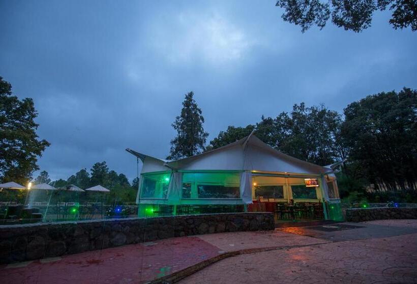 فندق & Glamping Huasca Sierra Verde