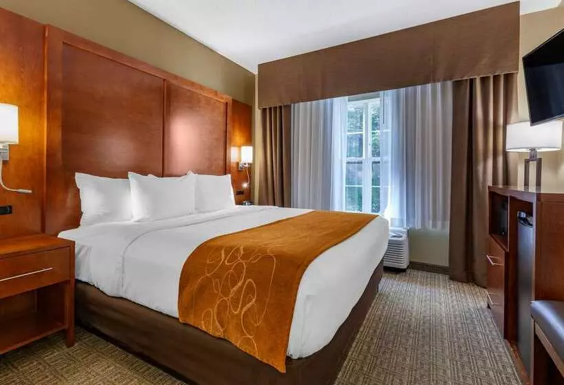 בית מלון כפרי Comfort Suites