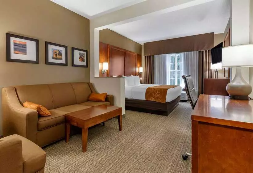 בית מלון כפרי Comfort Suites