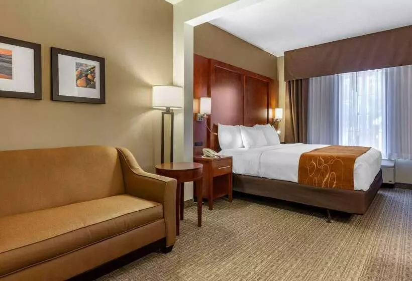 בית מלון כפרי Comfort Suites