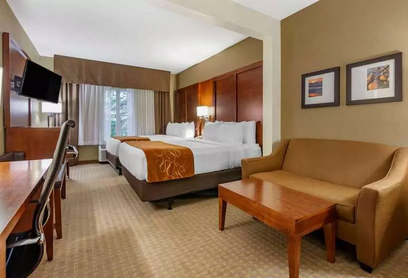 בית מלון כפרי Comfort Suites